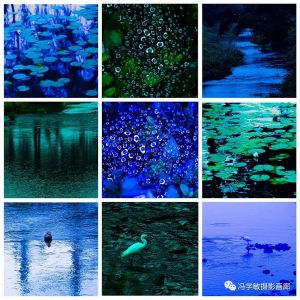 【散步印象】（98）