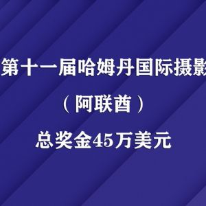 總獎金45萬美元丨2021第十一屆哈姆丹國際攝影大賽（阿聯酋）