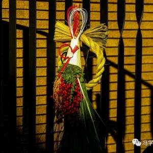【散步印象】（108）