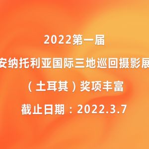 2022第一屆安納托利亞國際三地巡回攝影展（土耳其）獎項豐富