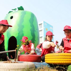 全民義務植樹 厚植綠色永川（圖片新聞）