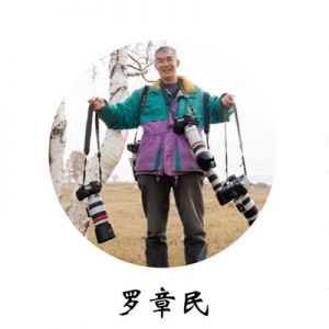 珠海攝影獎丨羅章民作品
