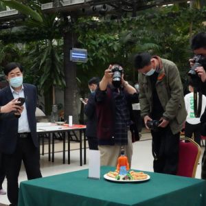 河南淮濱：舌尖上的淮濱（組圖）