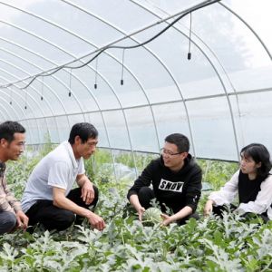 主題：永川：緊缺人才基層“傳經送寶”（圖片新聞）