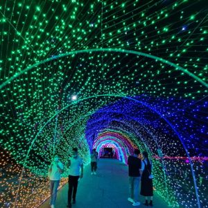20萬平方米的燈光秀亮相深圳海上田園