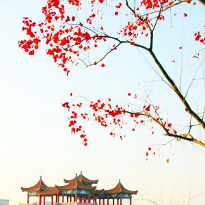 河南淮濱：淮上處處皆美景（圖）
