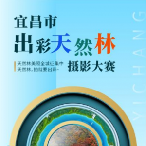 全城征集宜昌市天然林照片暨短视频
