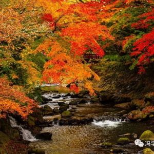 【“在日華人攝影交流協會”成立印象】
