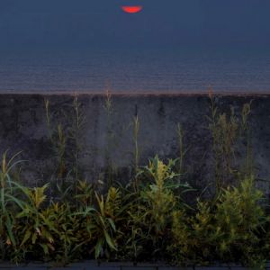 會員佳作 | 池海波：上海臨港的海