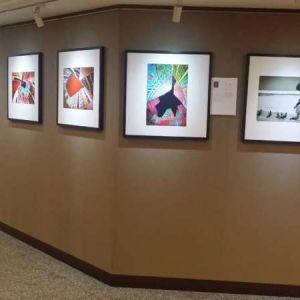 “歐洲攝影藝術協會會員作品展”在澳展出