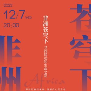 來自非洲野性自然的治愈