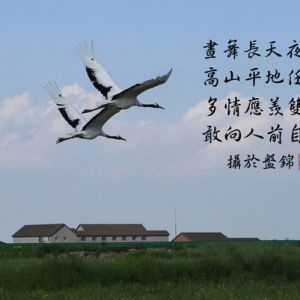 《藝海縱橫 光影共輝》澳門沙龍影藝會會員|鮑帝雄