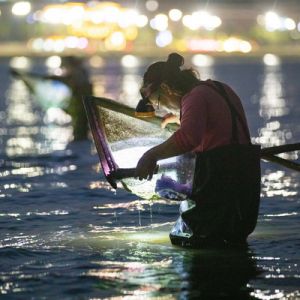《藝海縱橫 光影共輝》珠海市攝影家協會會員|李建束