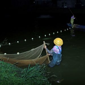 《藝海縱橫 光影共輝》珠海市攝影家協會會員|吳文峰
