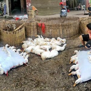 2022“摄影艺术家”国际摄影展（瑞士）结果揭晓