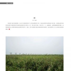 物流與生活——19/08期：橋