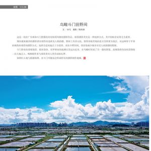 物流與生活——20/10期：鳥瞰斗門田野間