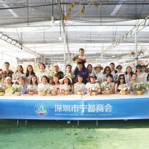 深圳：庆祝女神节，绽放“她”魅力