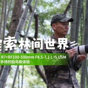 轻巧又出色，林间手持拍鸟新体验
