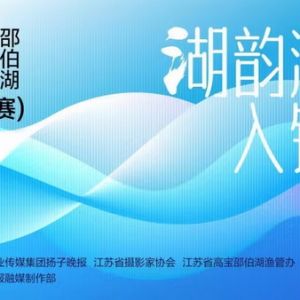 湖上花正開 拍咖請集結 2023高郵湖、寶應湖、邵伯湖攝影展（賽）開始啦