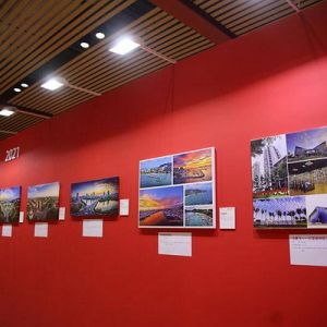 2023三亚国际玫瑰文化节小康生活成就展举行