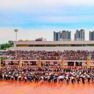 2023“SAVA”國際攝影藝術(shù)展（克羅地亞）結(jié)果揭曉