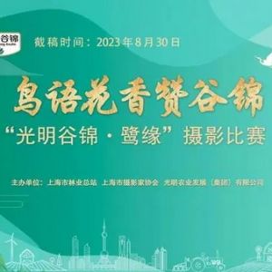 以镜头记录下生态之美，首届“光明谷锦·鹭缘”摄影比赛启动