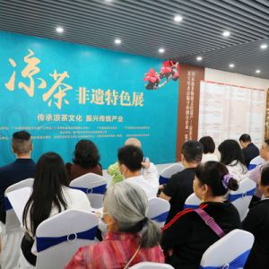 带你了解凉茶的前世今生 凉茶非遗特色展在深圳举行