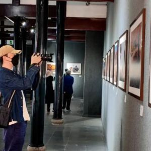 “川”越千里的遇见 | “兴安盟·五角枫”杯世界疏林草原摄影大展在成都巡展