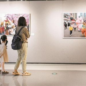 一展宏“兔” 春意深浓 来书城中心城赏摄影作品