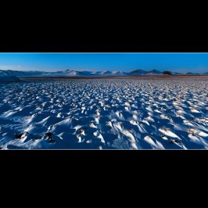 2005中國·麗水國際攝影文化節(jié)攝影作品展覽——不想離開塞罕壩的理由