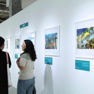 第58届国际野生生物摄影年赛作品亮相外滩“百空间”