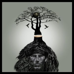 “首屆中國十佳數(shù)碼攝影師”參選作品聯(lián)展  龍鼎中