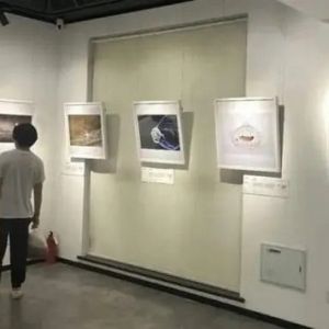 农发行辽宁瓦房店市支行举办“抬头望春 镜间藏画”主题摄影大赛