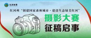 紅河人，這個攝影比賽征稿啦～“五一”假期拿起相機拍照去！