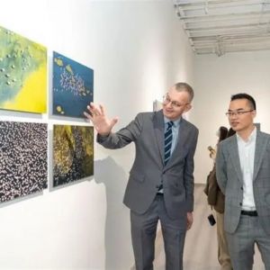 聚焦人与自然和谐共生，《南法卡马格》摄影展开幕