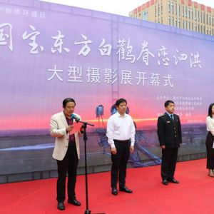 “国宝东方白鹳眷恋泗洪”大型摄影展——魏营镇开展六五环境日主题活动