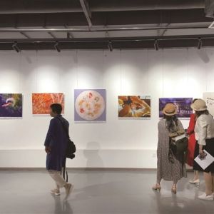 南通市第五届摄影艺术作品展开展