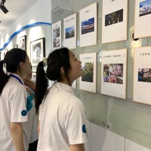 光影传韵，翰墨留香！普陀这场摄影书画展精彩纷呈