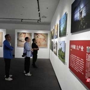 红网影像作品《小辣椒大产业》亮相第十四届中国摄影艺术节