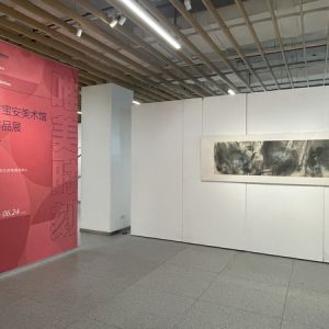 “唯美时刻一一宝安美术馆典藏作品展”开展
