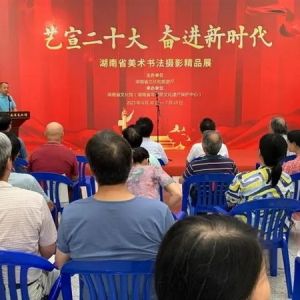 湖南省美术书法摄影精品展开幕