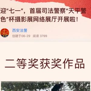 上榜！首届司法警察“天平警色”杯摄影展！