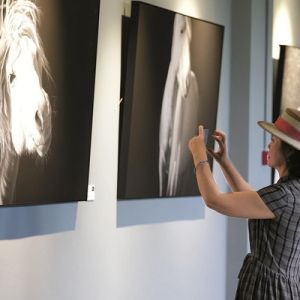“马语者”主题摄影展开展