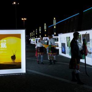 2023首届中国野生动物摄影大展开幕