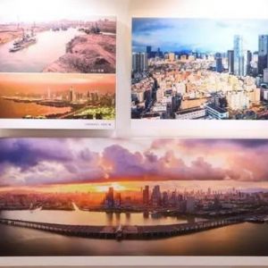“绽放湾区”深港两地摄影作品联展深圳开幕式举行
