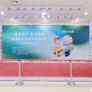世界遗产，梦幻湿地！这个生态摄影展亮相浦东