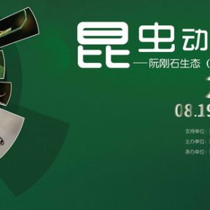 昆虫动物园——阮刚石生态(昆虫)摄影展即将开幕