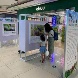 秦皇岛境内的鸟类、植物和昆虫长啥样？摄影展来了