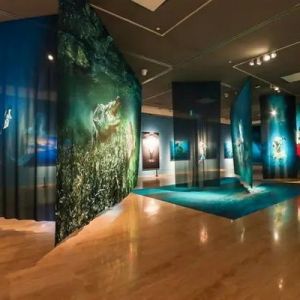 深圳摄影家岳鸿军海洋作品亮相中国美术馆，30多件被收藏